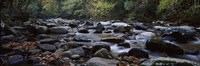 Rocks in a River, Great Smoky Mountains National Park, Tennessee Fine Art Print