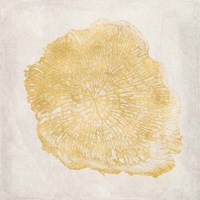 Tree Stump Golden III Framed Print