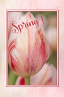Spring! Framed Print
