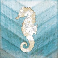 Coastal Seahorse Framed Print