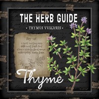 Herb Guide Thyme Framed Print