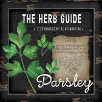 Herb Guide Parsley Framed Print
