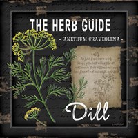 Herb Guide Dill Framed Print