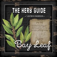 Herb Guide Bay Leaf Framed Print