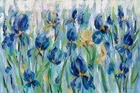 Iris Flower Bed Framed Print