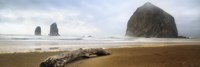 From Cannon Beach II Framed Print