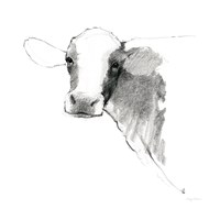 Cow II Dark Square Framed Print