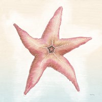 Boardwalk Starfish Framed Print