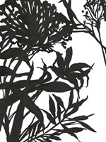 Monochrome Foliage I Framed Print