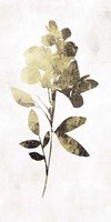 Gold Botanical I Framed Print