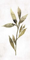 Gold Botanical IV Framed Print