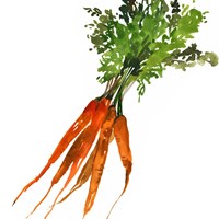Carrot Framed Print