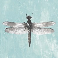 Dragonfly III Framed Print