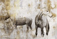 Equestrian Gold II Framed Print