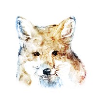 Watercolour Fox Framed Print