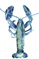 Lobster Framed Print