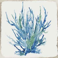 Blue and Green Coral II Framed Print