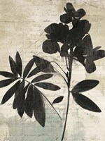 Inky Floral II Framed Print