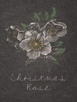 Chalkboard Christmas Greenery III Framed Print