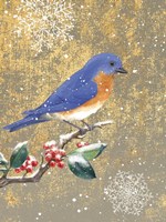 Winter Birds Bluebird Color Framed Print