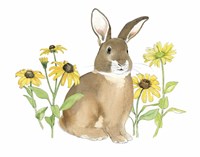 Wildflower Bunnies III Framed Print