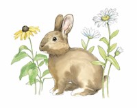 Wildflower Bunnies II Framed Print