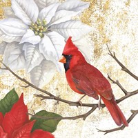 Winter Birds Cardinal Framed Print