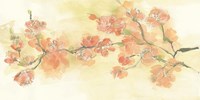 Tinted Blossoms I Framed Print