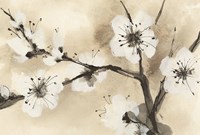 Spring Blossoms I Crop Framed Print