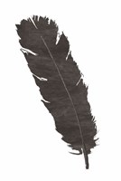 Black Feather V Framed Print