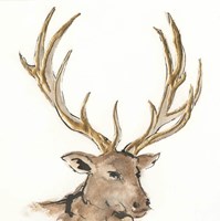 Gilded Elk Framed Print