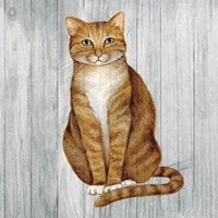 Country Kitty II on Wood Framed Print