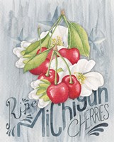 American Berries III Framed Print