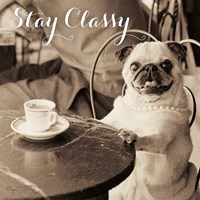Cafe Pug Stay Classy Framed Print