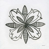 Patterns of the Amazon Icon XVI Framed Print
