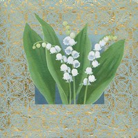 Lilies of the Valley III Framed Print