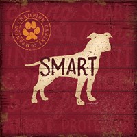 Smart Dog Framed Print