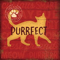 Purrrfect Cat Framed Print