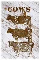 Cows Framed Print