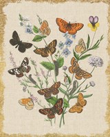 Butterfly Bouquet I Linen Framed Print