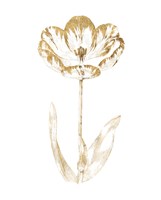 Gilded Botanical VI Framed Print
