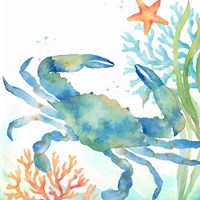 Sea Life Serenade II Framed Print