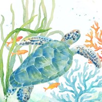 Sea Life Serenade IV Fine Art Print