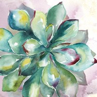 Succulent Watercolor I Framed Print