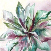 Succulent Watercolor II Framed Print