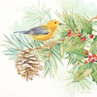 Winter Birds I Warbler Framed Print