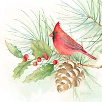 Winter Birds IV Cardinal Framed Print
