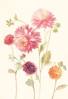 Watercolor Flowers VI Framed Print