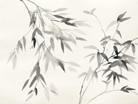 Bamboo Leaves II Framed Print