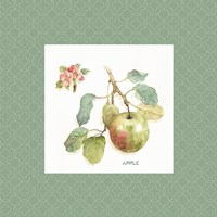 Orchard Bloom I Border Framed Print
